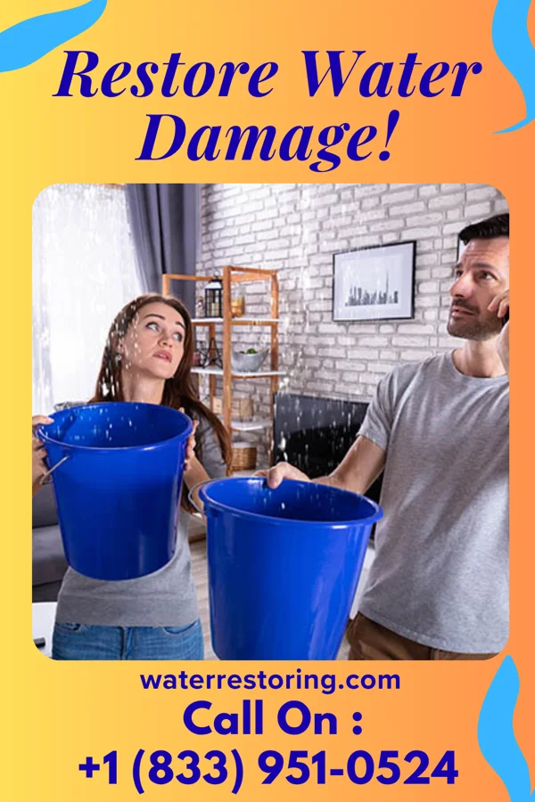 water restoration Horizon Water Repair Specialists Taneyville